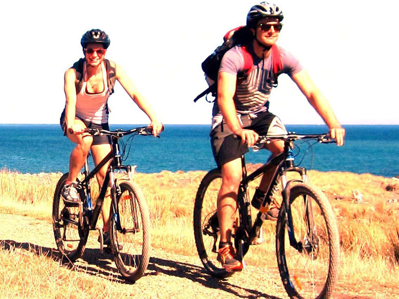 8 Hour Comfort Mountain Bike Hire @ The Bike Shed - Pencarrow